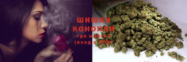 сатива Абинск