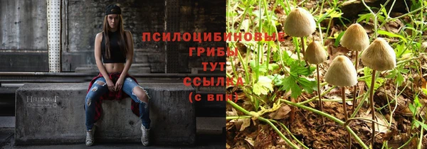 прущая мука Наволоки